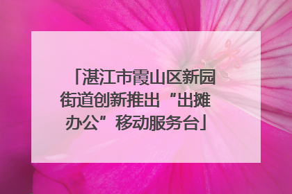 湛江市霞山区新园街道创新推出“出摊办公”移动服务台