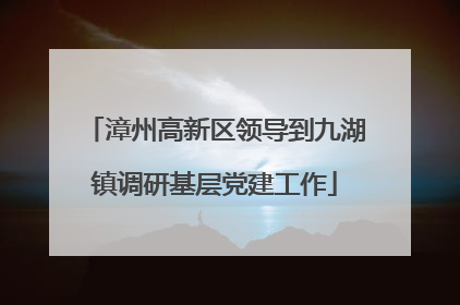 漳州高新区领导到九湖镇调研基层党建工作