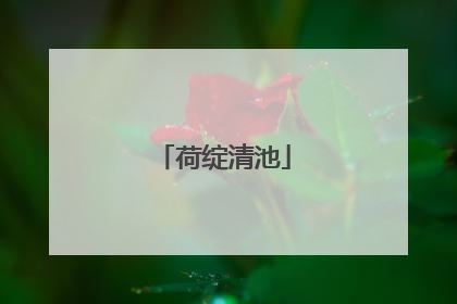 荷绽清池