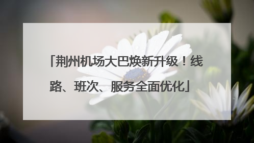 荆州机场大巴焕新升级！线路、班次、服务全面优化
