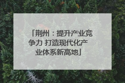 荆州：提升产业竞争力 打造现代化产业体系新高地