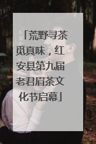 荒野寻茶觅真味，红安县第九届老君眉茶文化节启幕