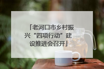 老河口市乡村振兴“四项行动”建设推进会召开