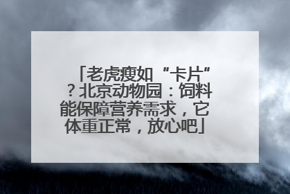 老虎瘦如“卡片”？北京动物园：饲料能保障营养需求，它体重正常，放心吧