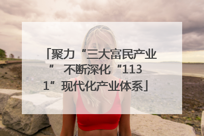 聚力“三大富民产业” 不断深化“1131”现代化产业体系