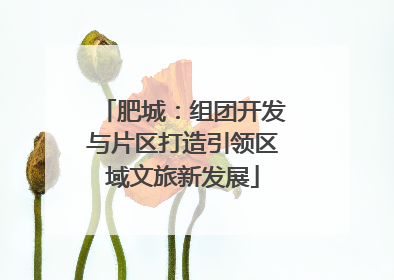 肥城：组团开发与片区打造引领区域文旅新发展