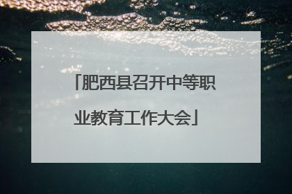 肥西县召开中等职业教育工作大会