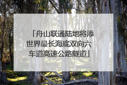 舟山联通陆地将添世界最长海底双向六车道高速公路隧道