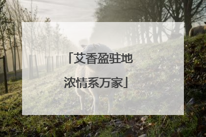 艾香盈驻地 浓情系万家