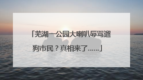 芜湖一公园大喇叭辱骂遛狗市民？真相来了……