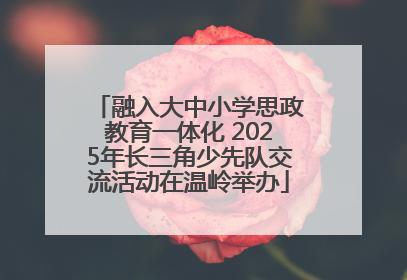 融入大中小学思政教育一体化 2025年长三角少先队交流活动在温岭举办