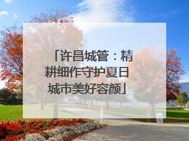 许昌城管：精耕细作守护夏日城市美好容颜