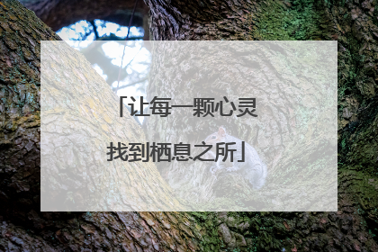 让每一颗心灵找到栖息之所