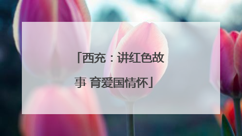 西充：讲红色故事 育爱国情怀