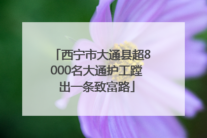 西宁市大通县超8000名大通护工蹚出一条致富路