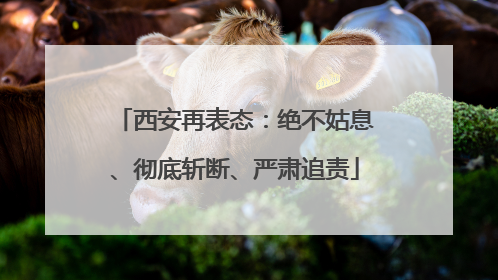 西安再表态：绝不姑息、彻底斩断、严肃追责