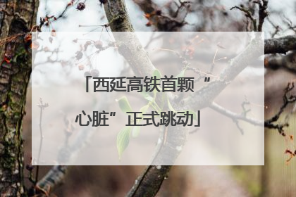 西延高铁首颗“心脏”正式跳动