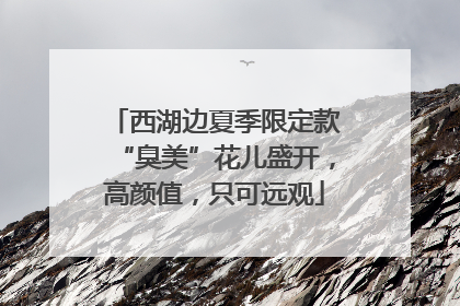 西湖边夏季限定款“臭美”花儿盛开，高颜值，只可远观