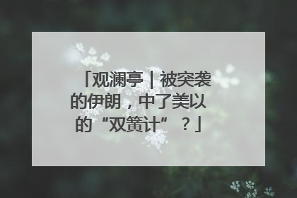 观澜亭｜被突袭的伊朗，中了美以的“双簧计”？