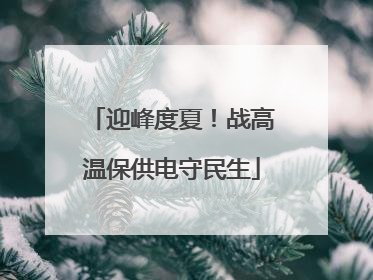 迎峰度夏！战高温保供电守民生