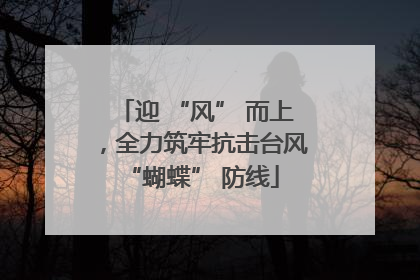 迎 “风” 而上，全力筑牢抗击台风 “蝴蝶” 防线