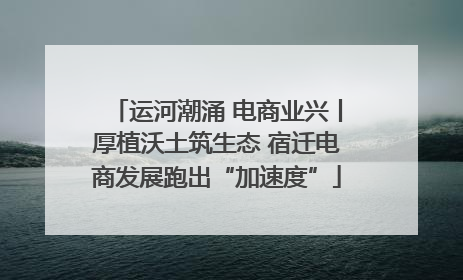 运河潮涌 电商业兴丨厚植沃土筑生态 宿迁电商发展跑出“加速度”