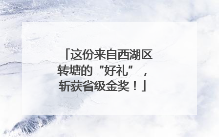 这份来自西湖区转塘的“好礼”，斩获省级金奖！