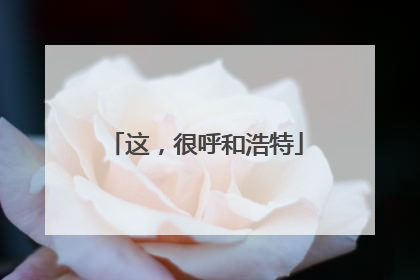 这，很呼和浩特