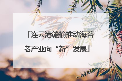 连云港赣榆推动海苔老产业向“新”发展