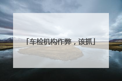 车检机构作弊，该抓