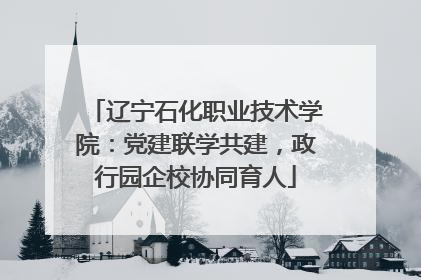 辽宁石化职业技术学院：党建联学共建，政行园企校协同育人