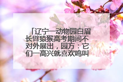 辽宁一动物园白眉长臂猿猴高考期间不对外展出，园方：它们一高兴就喜欢鸣叫，怕影响考试
