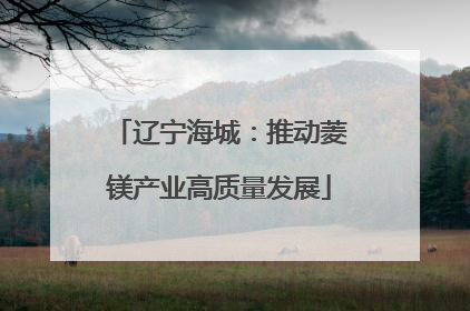 辽宁海城：推动菱镁产业高质量发展
