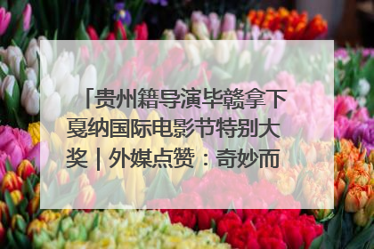 贵州籍导演毕赣拿下戛纳国际电影节特别大奖｜外媒点赞：奇妙而广阔的纯粹电影梦