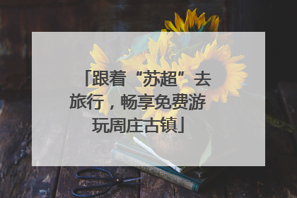 跟着“苏超”去旅行，畅享免费游玩周庄古镇