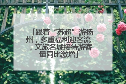 跟着“苏超”游扬州，多重福利迎客流，文旅名城接待游客量同比激增