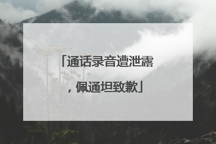 通话录音遭泄露，佩通坦致歉