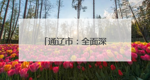 通辽市：全面深化能源改革闯出高质量发展新路