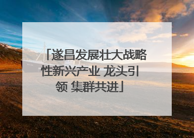 遂昌发展壮大战略性新兴产业 龙头引领 集群共进