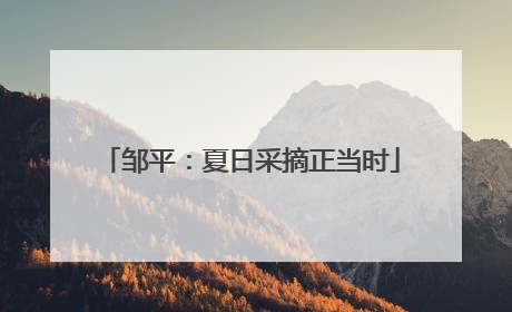 邹平：夏日采摘正当时