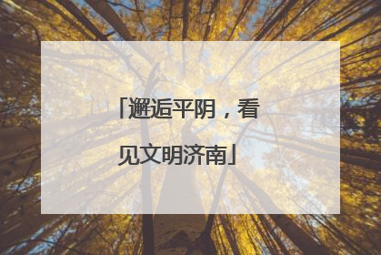邂逅平阴，看见文明济南