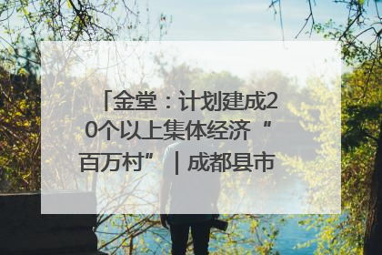 金堂：计划建成20个以上集体经济“百万村”｜成都县市新城高质量发展