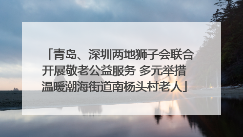 青岛、深圳两地狮子会联合开展敬老公益服务 多元举措温暖潮海街道南杨头村老人