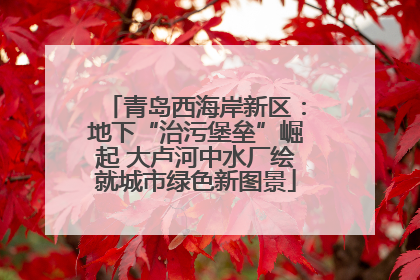 青岛西海岸新区：地下“治污堡垒”崛起 大卢河中水厂绘就城市绿色新图景