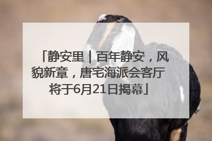 静安里｜百年静安，风貌新章，唐宅海派会客厅将于6月21日揭幕