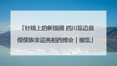 针线上的新国潮 四川盐边县傈僳族非遗亮相西博会｜图集