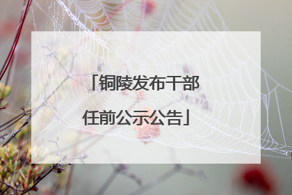 铜陵发布干部任前公示公告