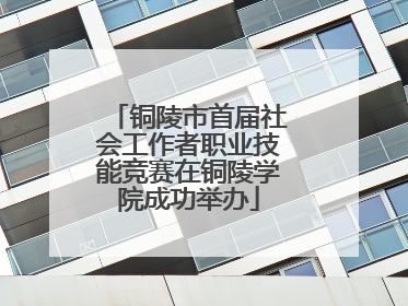 铜陵市首届社会工作者职业技能竞赛在铜陵学院成功举办