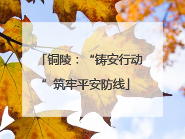 铜陵：“铸安行动”筑牢平安防线