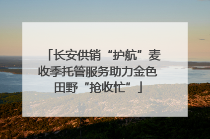 长安供销“护航”麦收季托管服务助力金色田野“抢收忙”